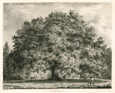 O carvalho de Chandos, casa de Michendon, Southgate, Londres de Jacob George Strutt