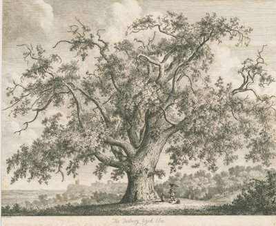 Tutbury - "Wych Elm": gravura, nd [c 1820] de Jacob George Strutt