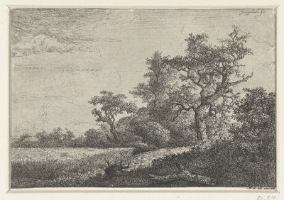 O campo de milho de Jacob van Ruisdael