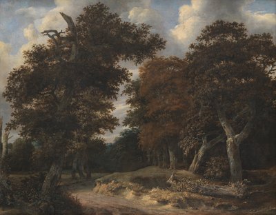 Estrada através de uma floresta de carvalho de Jacob van Ruisdael