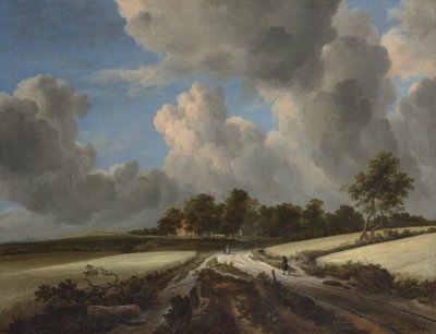 Wheat Fields, c.1670 (óleo sobre tela) de Jacob van Ruisdael