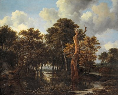 Paisagem de pântano de madeira com árvore morta, c.1665 de Jacob van Ruisdael