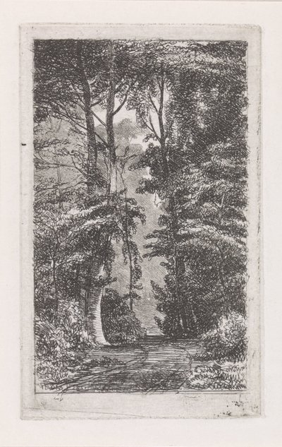 Avenida da Floresta de Jacob Jan van der Maaten