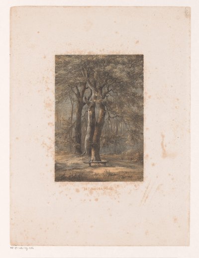 Jacoba arbor
A árvore Jacoba (título sobre o objecto) de Jacob Jan van der Maaten