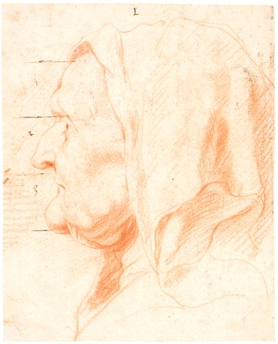 Cabeça de uma velha, no perfil esquerdo de Jacob Jordaens