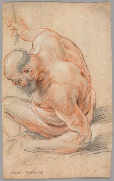 Velho nu sentado, apoiado no antebraço, virado para a esquerda de Jacob Jordaens
