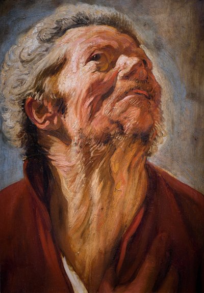 Cabeça de estudo de Jacob Jordaens