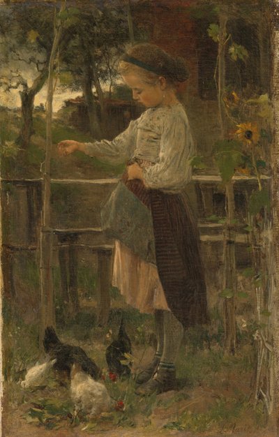 Alimentação de frangos de Jacob Maris