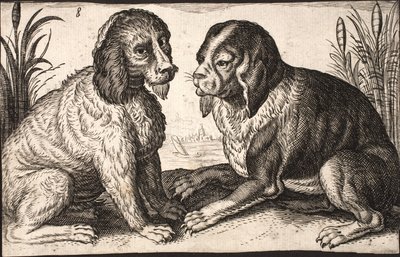 Dois cães à beira do lago de Jacob Matham