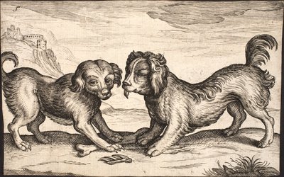 Dois cães pequenos de Jacob Matham