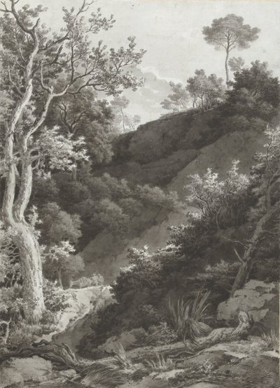 Ladeira florestal de montanha de Jacob Philipp Hackert