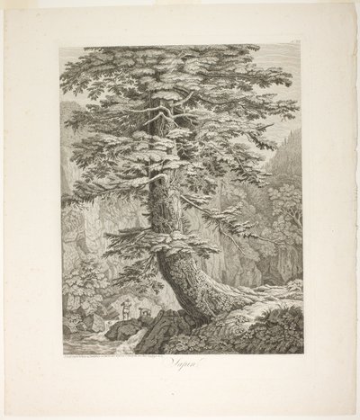 Abeto de Jacob Philipp Hackert