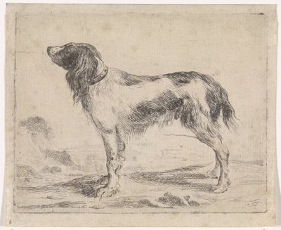 Cão de pé
Cães (título da série) de Jacob Toorenvliet