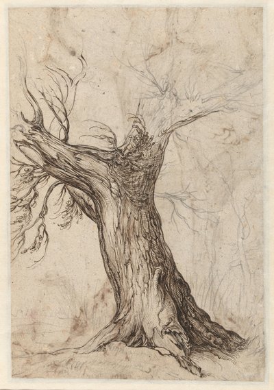 Castanheiro com algumas árvores à sua volta de Jacob de Gheyn (II)