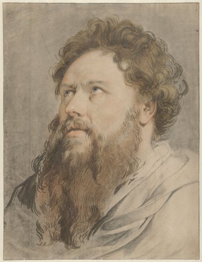 Cabeça de homem com barba, olhos de lado para cima de Jacob de Wit