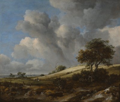 Um campo de milho com o Zuiderzee em segundo plano, c. 1660 de Jacob van Ruisdael