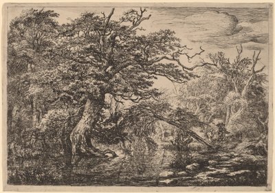 Um pântano florestal com viajantes em um banco (Os viajantes) de Jacob van Ruisdael