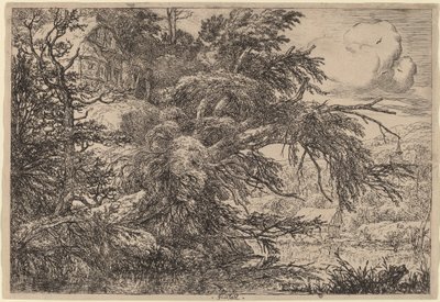 Casa de campo em uma colina de Jacob van Ruisdael