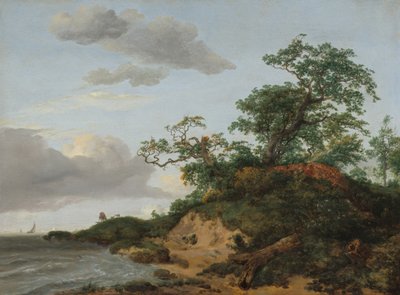 Dunas à beira-mar, 1648. de Jacob van Ruisdael