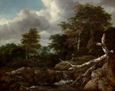 Cena da floresta, c. 1655. de Jacob van Ruisdael
