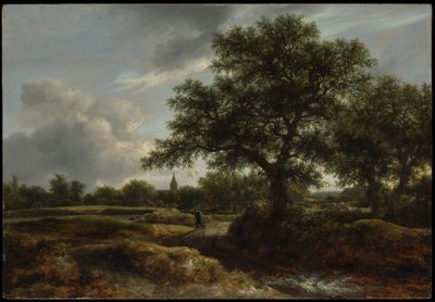 Paisagem com uma vila à distância de Jacob van Ruisdael