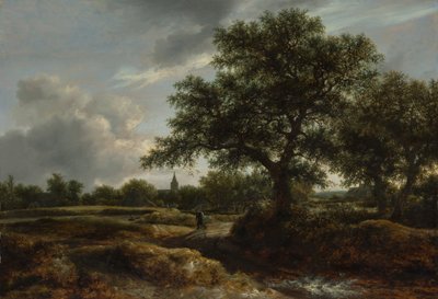 Paisagem com uma aldeia à distância, 1646. de Jacob van Ruisdael