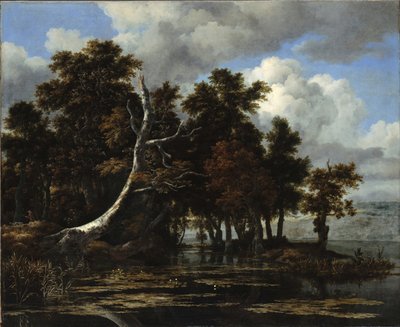 Carvalhos em um lago com nenúfares de Jacob van Ruisdael