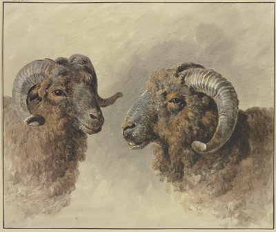 Duas ovelhas de Jacob van Strij