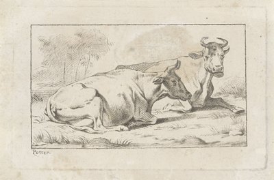 Duas vacas reclináveis de Jacobus Buys