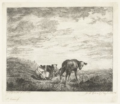 Três bezerros de Jacobus Cornelis Gaal (signed by artist)