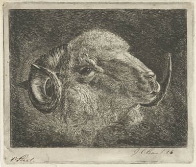 Cabeça de um carneiro com chifres voltados para trás de Jacobus Cornelis Gaal (signed by artist)