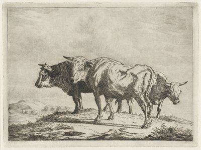 Três bois de Jacobus Cornelis Gaal