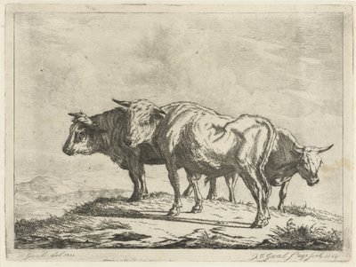 Três bois de Jacobus Cornelis Gaal