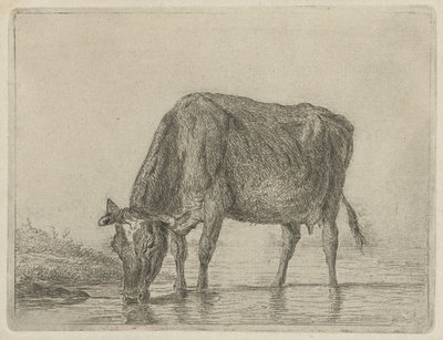 Bebida de vaca de Jacobus Cornelis Gaal