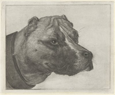 Cabeça de cachorro com coleira de Jacobus Cornelis Gaal