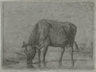 Vaca bebendo de uma poça de Jacobus Cornelis Gaal
