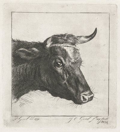 Cabeça de uma vaca com corda à volta dos seus chifres de Jacobus Cornelis Gaal