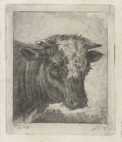 Cabeça de uma vaca com colo branco de Jacobus Cornelis Gaal