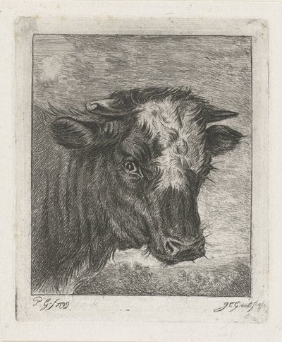 Cabeça de uma vaca com colo branco de Jacobus Cornelis Gaal