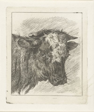 Cabeça de uma vaca com carenagem branca de Jacobus Cornelis Gaal