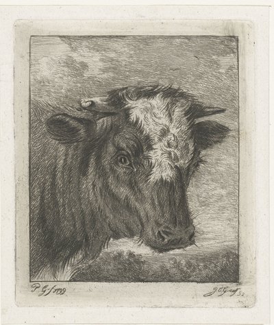 Cabeça de uma vaca com colo branco de Jacobus Cornelis Gaal