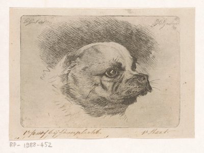 Cabeça de um pug de Jacobus Cornelis Gaal