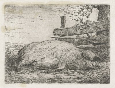 Javali deitado de Jacobus Cornelis Gaal