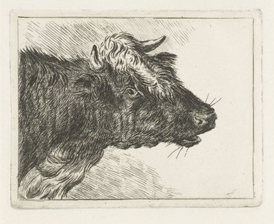 Boi rugindo de Jacobus Cornelis Gaal