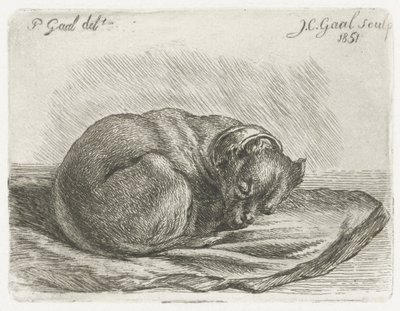 Cão dormindo, deitado em um cobertor de Jacobus Cornelis Gaal