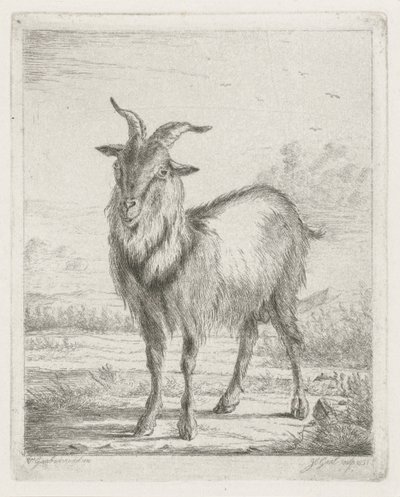Cabra em pé de Jacobus Cornelis Gaal