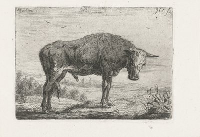 Touro em pé de Jacobus Cornelis Gaal