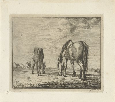 Dois cavalos pastando de Jacobus Cornelis Gaal