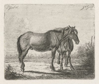 Dois cavalos de Jacobus Cornelis Gaal