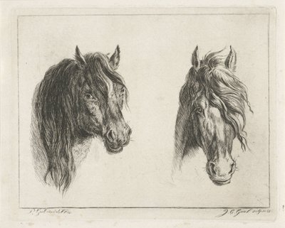 Duas cabeças de cavalo de Jacobus Cornelis Gaal